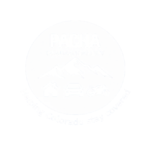 insurance logo pacha